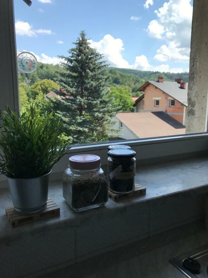 Apartament Przy Rynku Wisla Ngoại thất bức ảnh